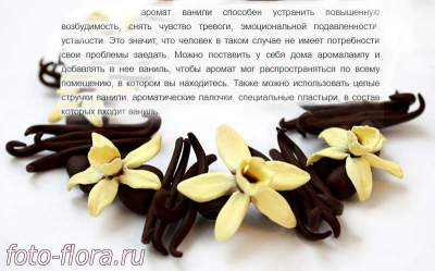 ароматические свойства ванили