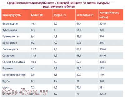 свойства кукурузы по сортам