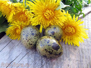 пасхальные яйца фото с цветами