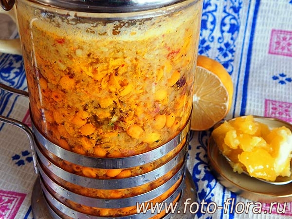 как приготовить морс облепиховый фото